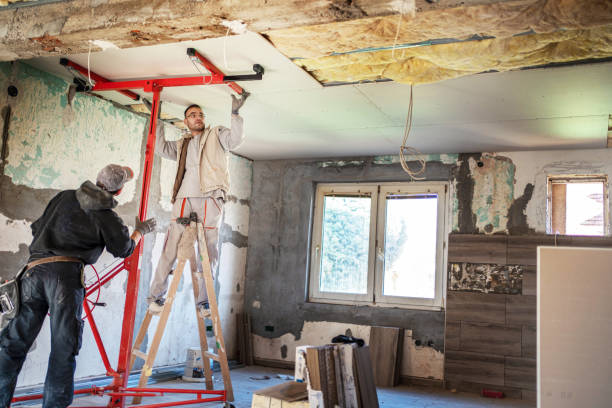 Best Insulation Replacement Services  in Kimball, NE