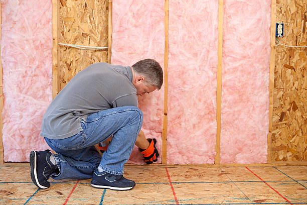Best Insulation Inspection Services  in Kimball, NE