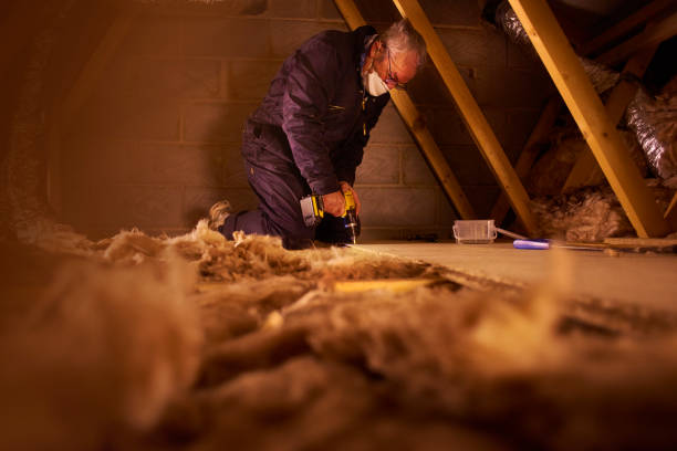 Best Insulation Inspection Services  in Kimball, NE